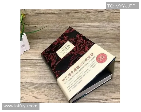 深度对话李敏排球人生的起伏与坚持之路探秘